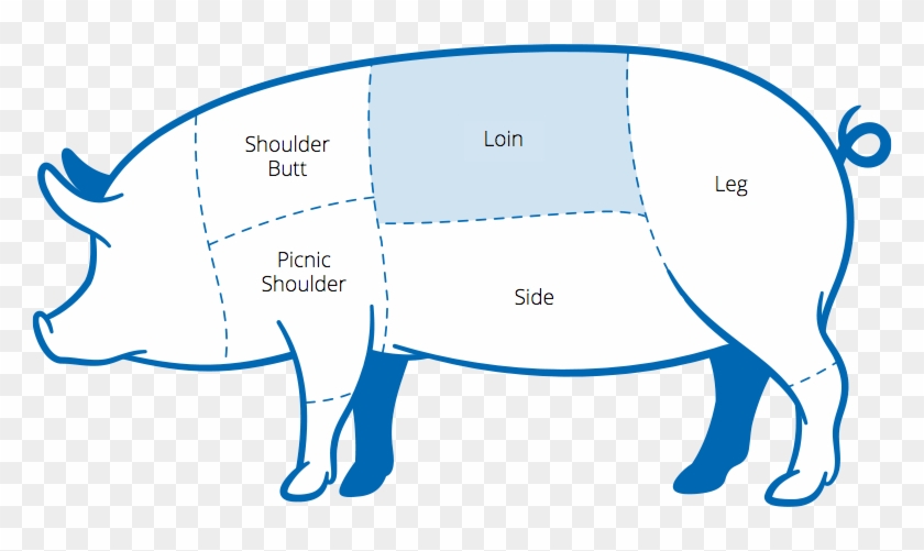 Shoulder/butt Picnic Shoulder Loin Side Leg - Pork Butt Clipart #382373