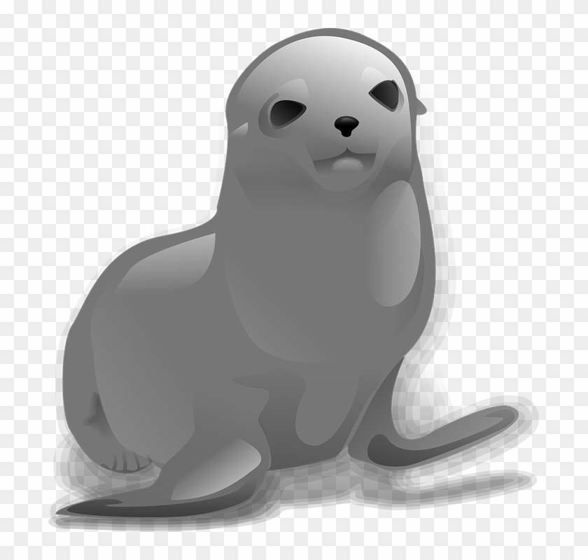 Download Harbor Seal Png Transparent Images Transparent - Seal Clip Art #382538
