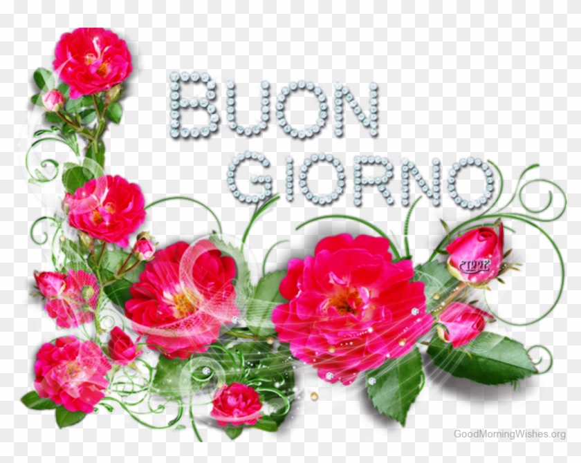 Good Morning Stunning Pic Of - Good Morning Images In Italian Language Clipart