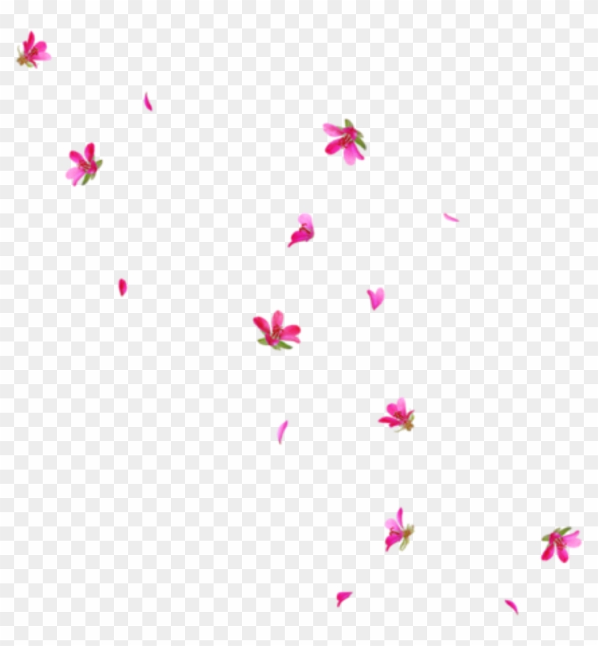 Clipart Rain Flower - Overlays Text Tumblr Terbaru - Png Download #384957