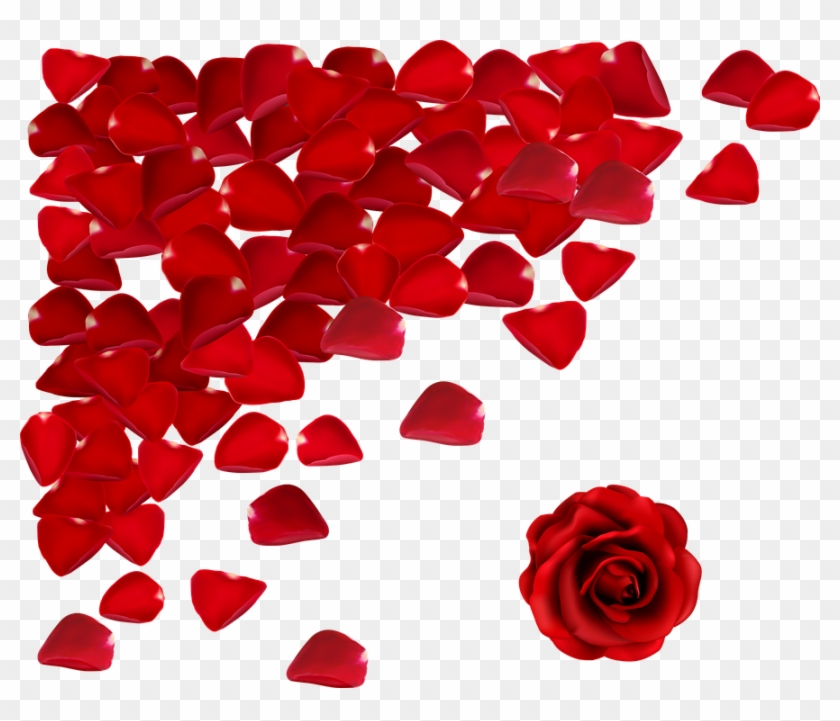 Red Flowers Png - Rose Petal Falling Png Clipart #385304