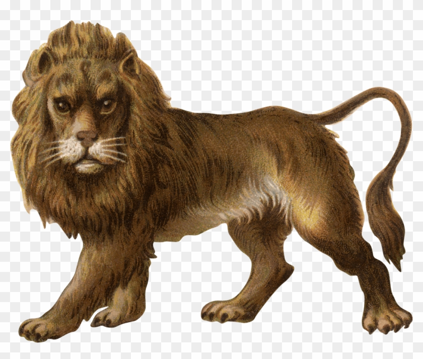 Victorian Vintage Lion - Png Lion Clipart #385418