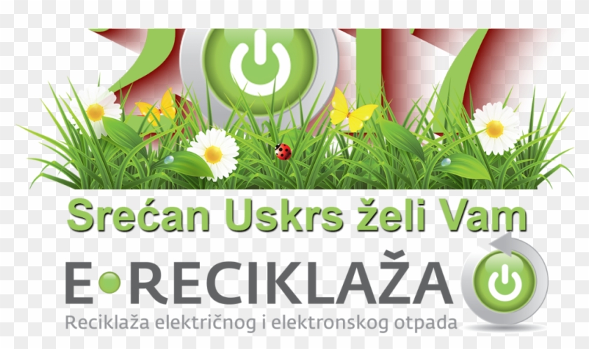 Uskrs Ereciklaå¾a - African Daisy Clipart #385997