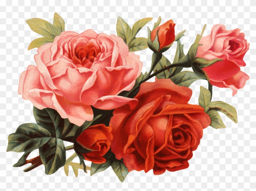 Цветы Пнг Clipart