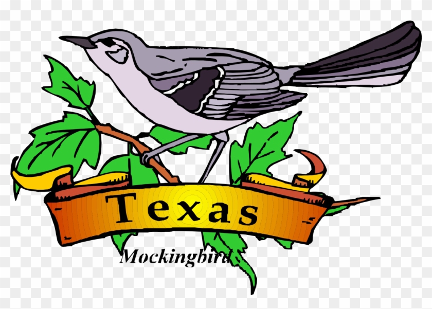 Texas Theme Cliparts - Texas State Bird Clipart - Png Download
