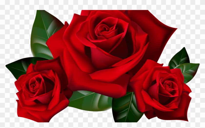 Transparent Red Rose Clip Art - Transparent Background Rose Png