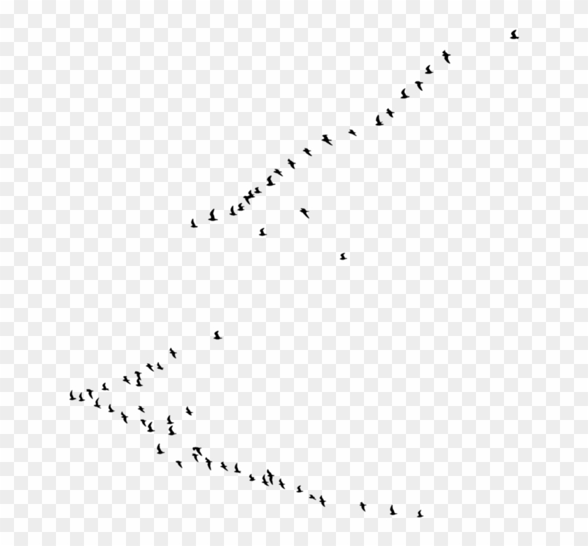 Image - Bird Clipart #388825