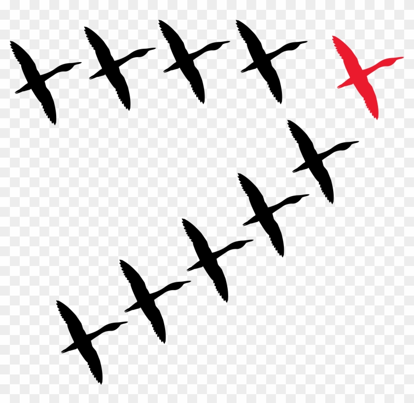 Leadership History - Flock Clipart