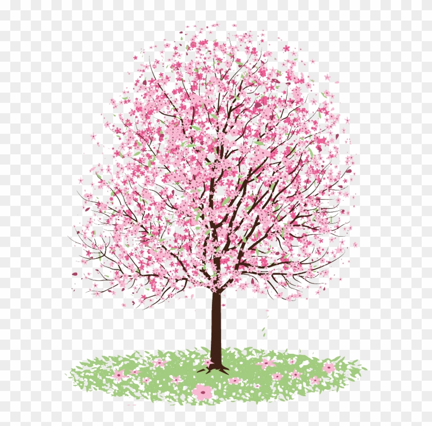 Cherry Blossom Clipart Transparent Tumblr - Japanese Cherry Blossom Tree Png