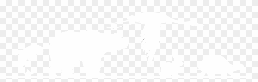 Poultry Diseases & Necropsy Lab Wisconsin Exotic Animal - Illustration Clipart