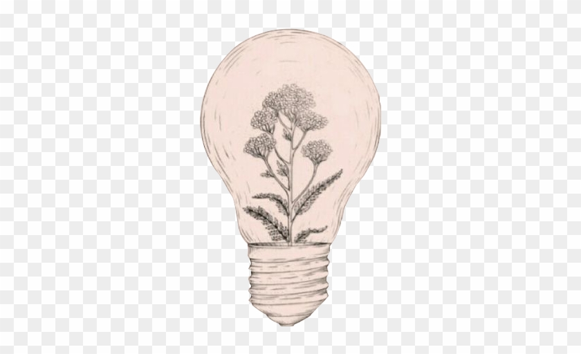 Black And White Stock Idea Aesthetics Art Sketch Bulb - Light Bulb With Plant Inside Tattoo Clipart