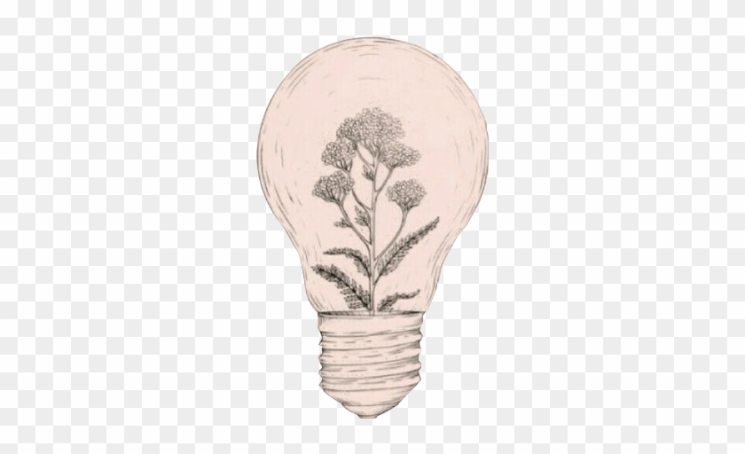 Black And White Stock Idea Aesthetics Art Sketch Bulb - Light Bulb With Plant Inside Tattoo Clipart #3800633