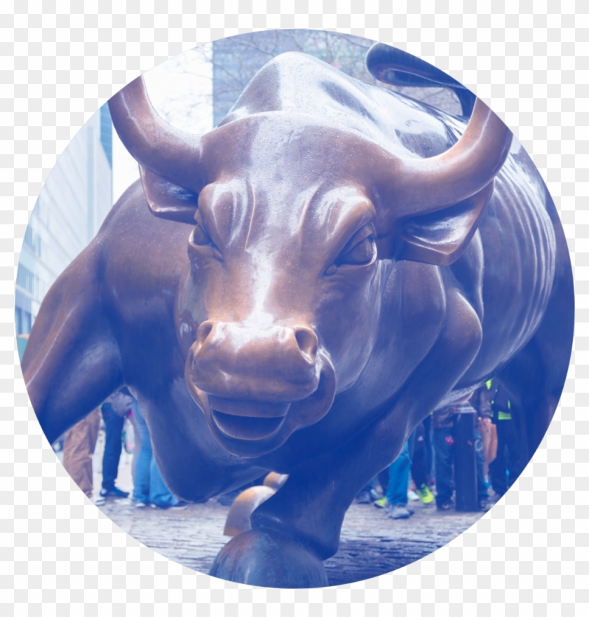 Pros - Bull Market Clipart