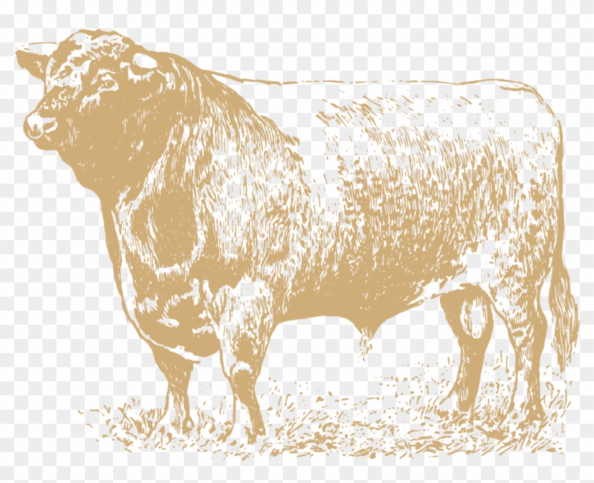 The Bull Inn Fullers - Beef Cow Clip Art - Png Download #3803642