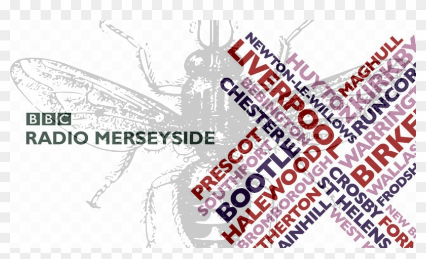 Bbc Radio Clipart #3804859