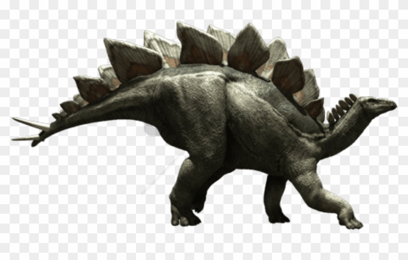 Free Png Stegosaurus Png Images Transparent - Jurassic Fight Club Stegosaurus Clipart #3805569