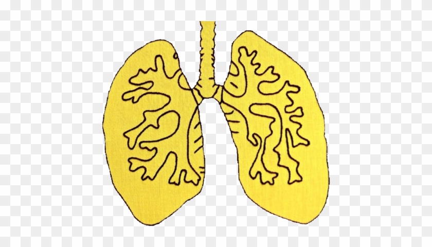 Lungs Yellow Aesthetic Vaporwave Tumblr - Hazel Grace Lancaster Aesthetic Clipart
