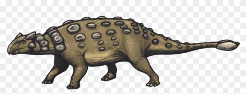 Ankylosaurus Png Clipart