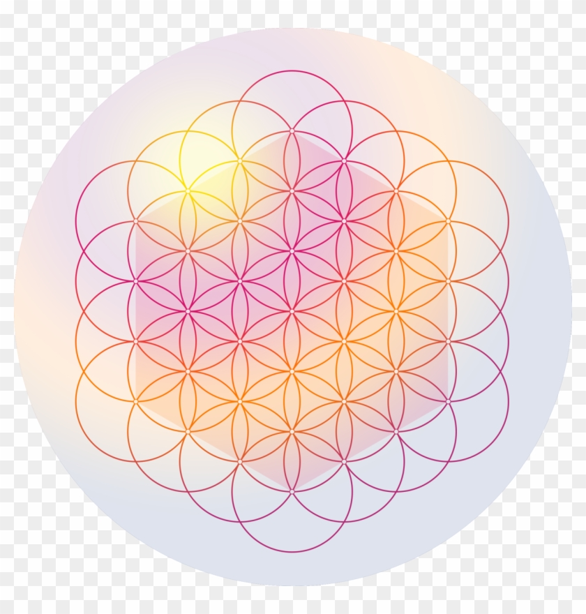 La Flor De La Vida - Circle Clipart #3809820