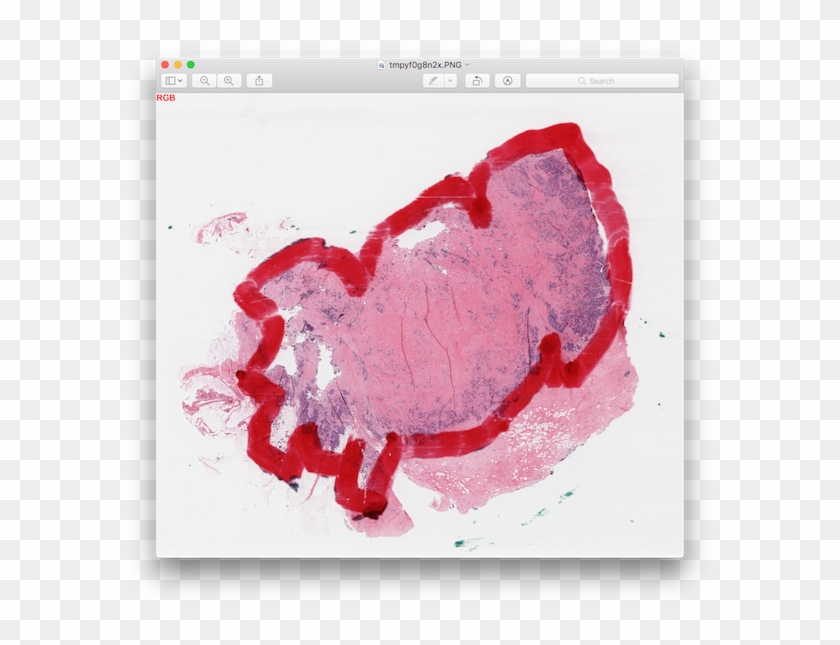 Original Slide, Red Filter - Visual Arts Clipart