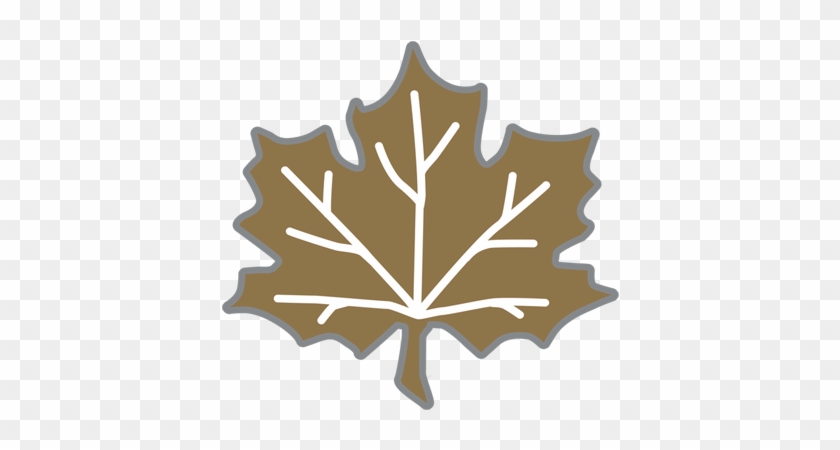 Do I Need To Make A Purchase In Order To Enter - Molson Canadian Beer Logo Clipart #3811818