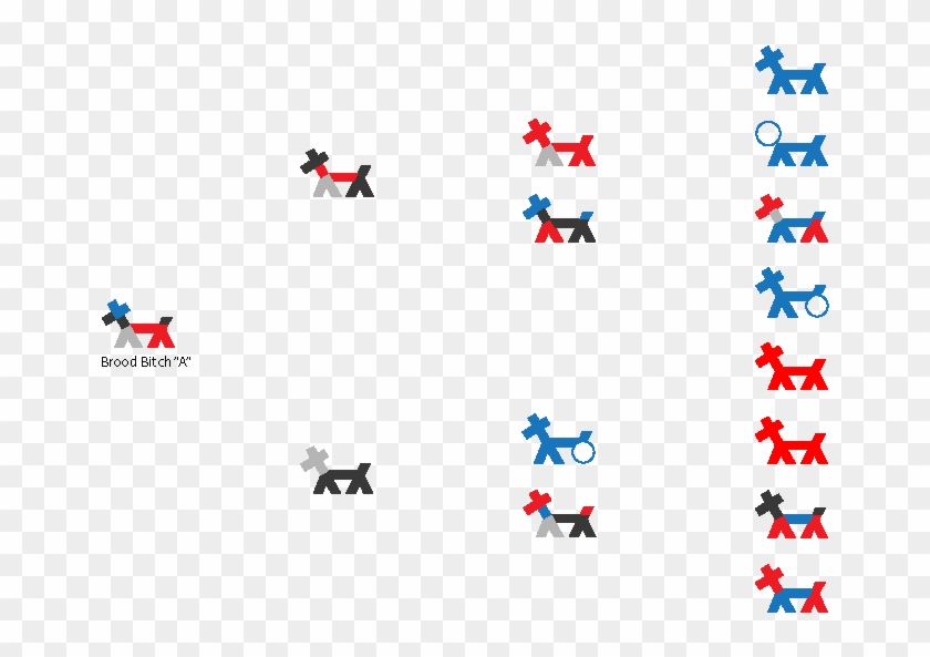 Stick Dog Pedigree - Cartoon Clipart #3812067