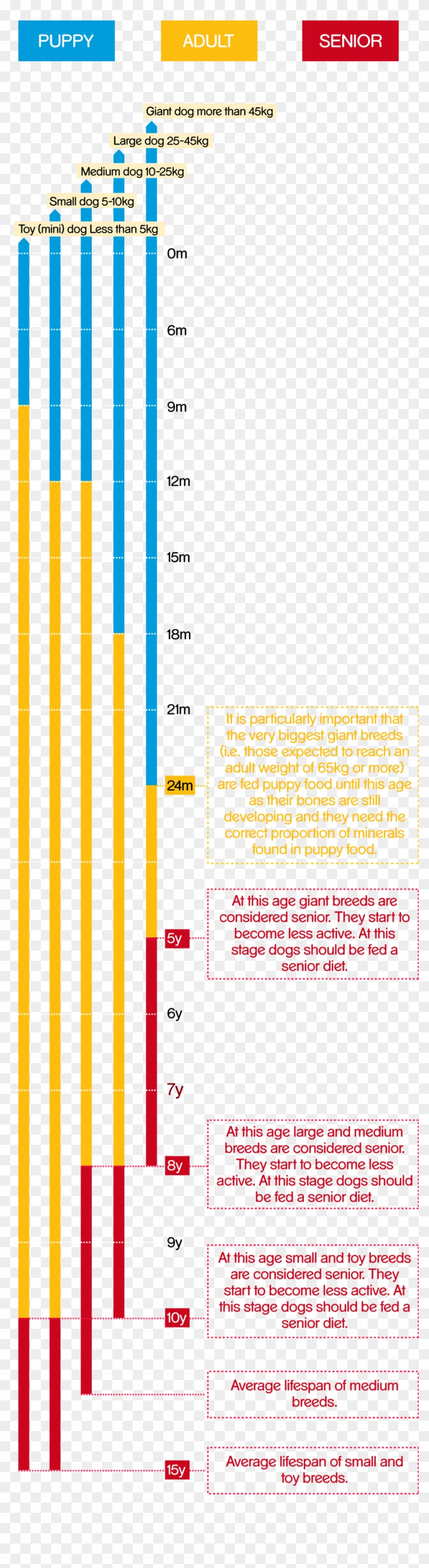 pedigree feeding chart