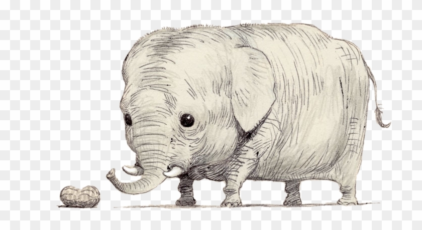 Drawing Elephants Eyes - Midget Elephant Clipart #3813049