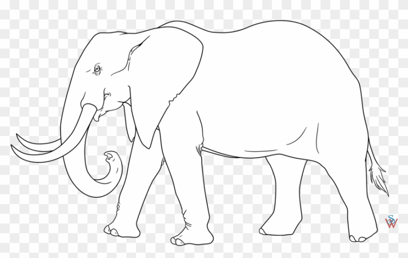 African Elephant Line Drawing 24844 - African Elephant Trace Clipart