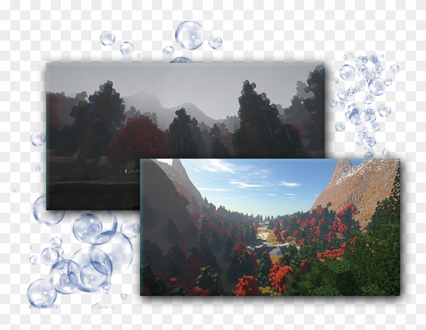 Aquatic Pictures - - Summit Clipart