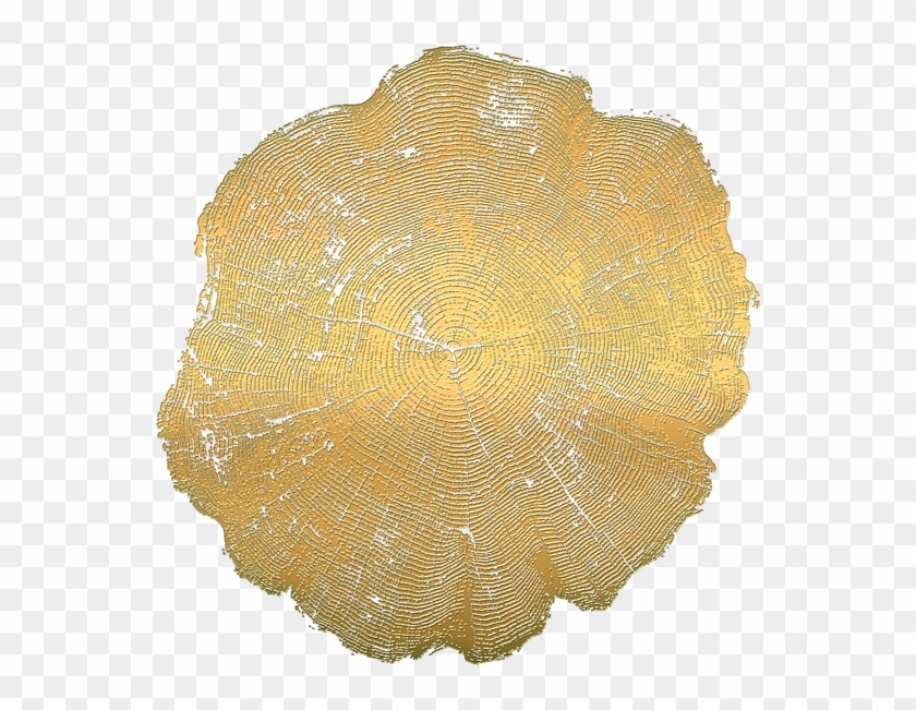 Bleed Area May Not Be Visible - Doily Clipart