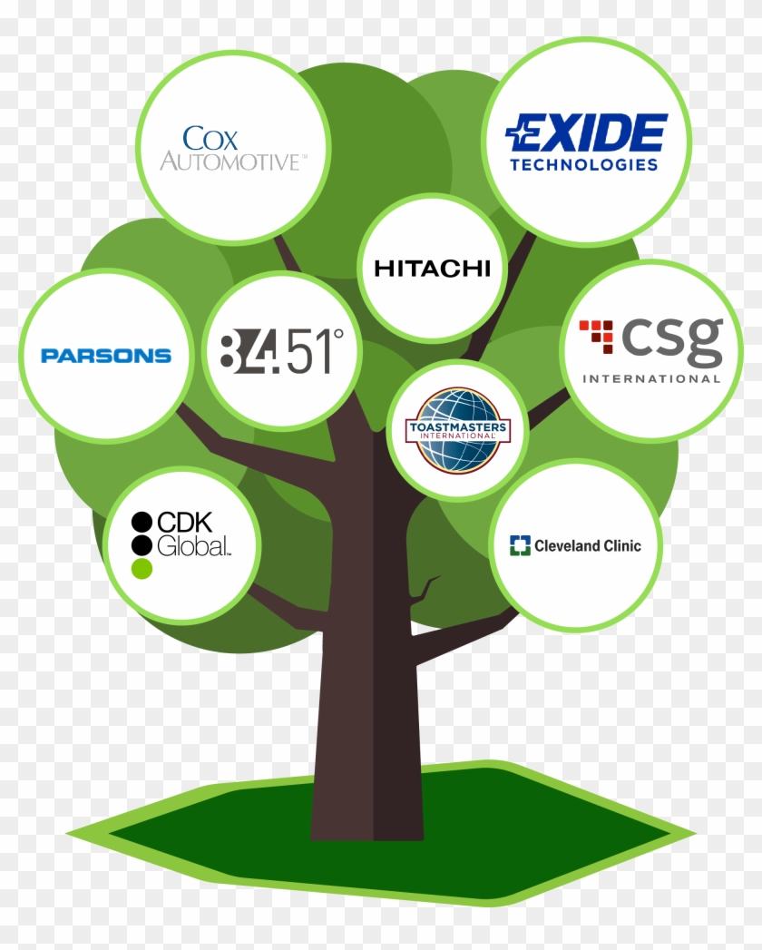 Section 7-family Tree - Tree Clipart