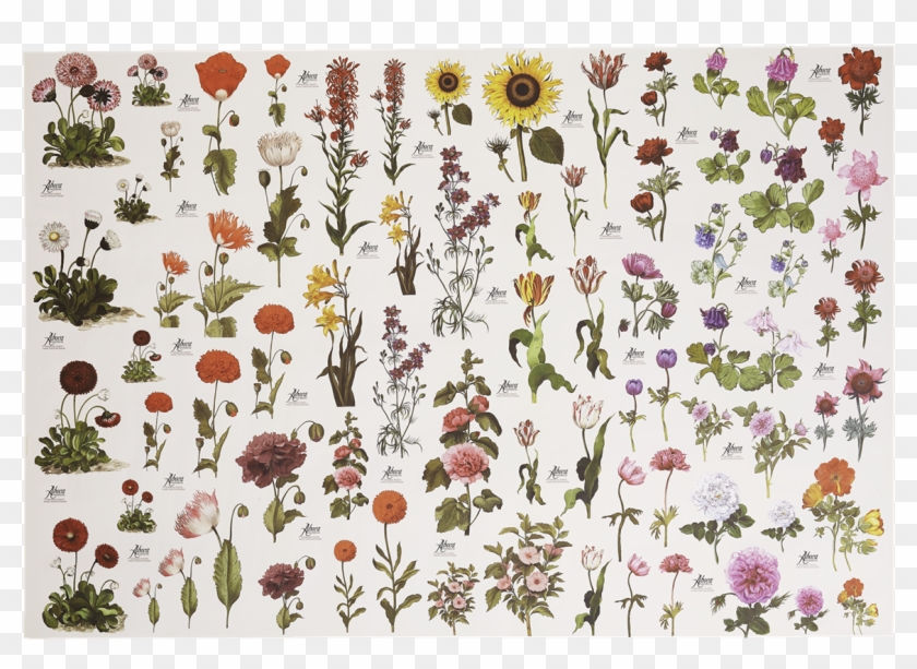 Picture Of Flower Paper - Motif Clipart #3815582