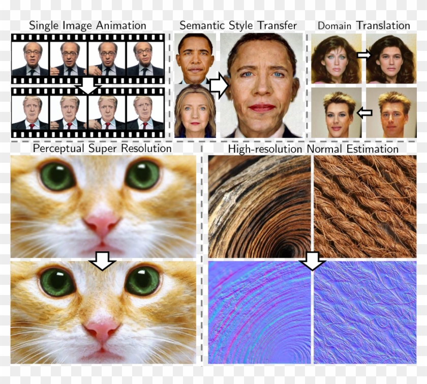 Abstract - Tabby Cat Clipart #3815855