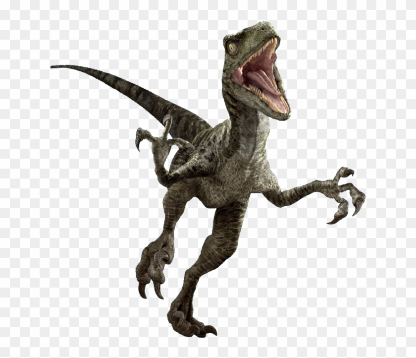 Jurassic World Dinosaur Png , Png Download - Jurassic Park Velociraptor Png Clipart #3817218