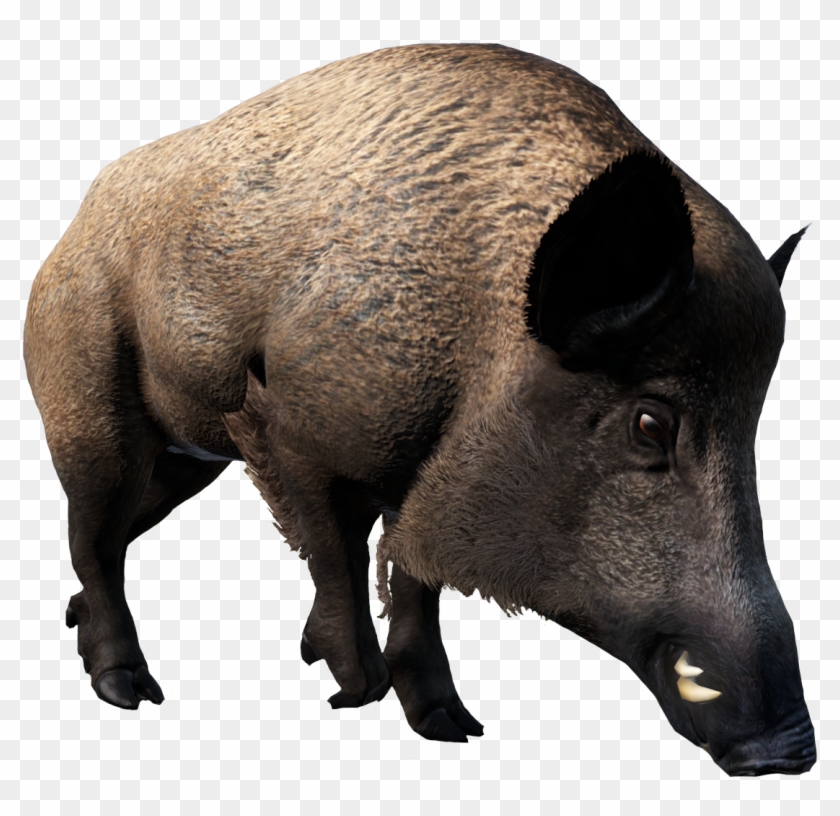 Wild Boar - Wild Boar Dayz Clipart #3817902
