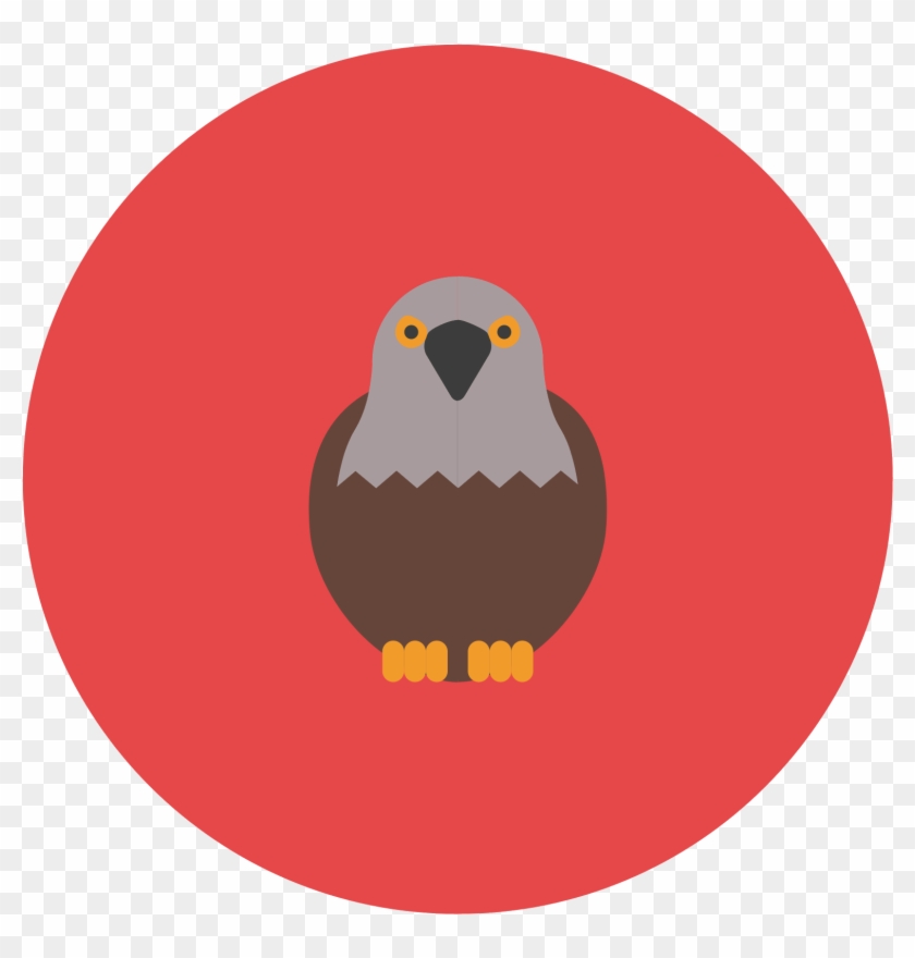 This Icon Represents A Falcon - Hawk Clipart #3818554