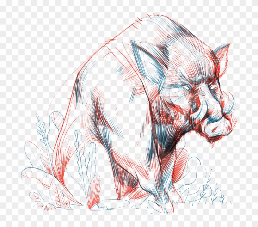 Animals Of The Afan Woods In Northern - Illustration Clipart