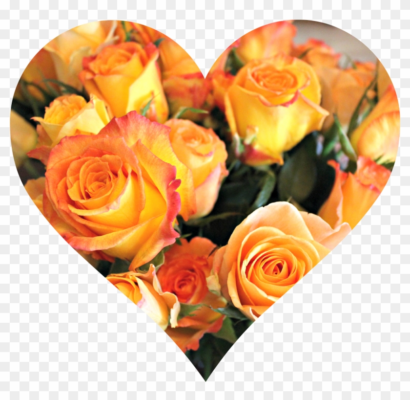 Heart Of Roses - Floribunda Clipart #3818617