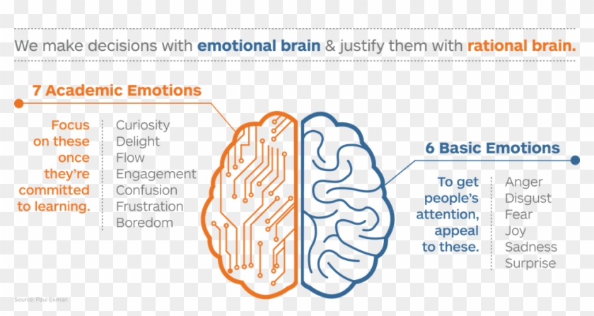 Emotions From Ages Inforgraphic - Oxford Royale Academy Clipart #3818800