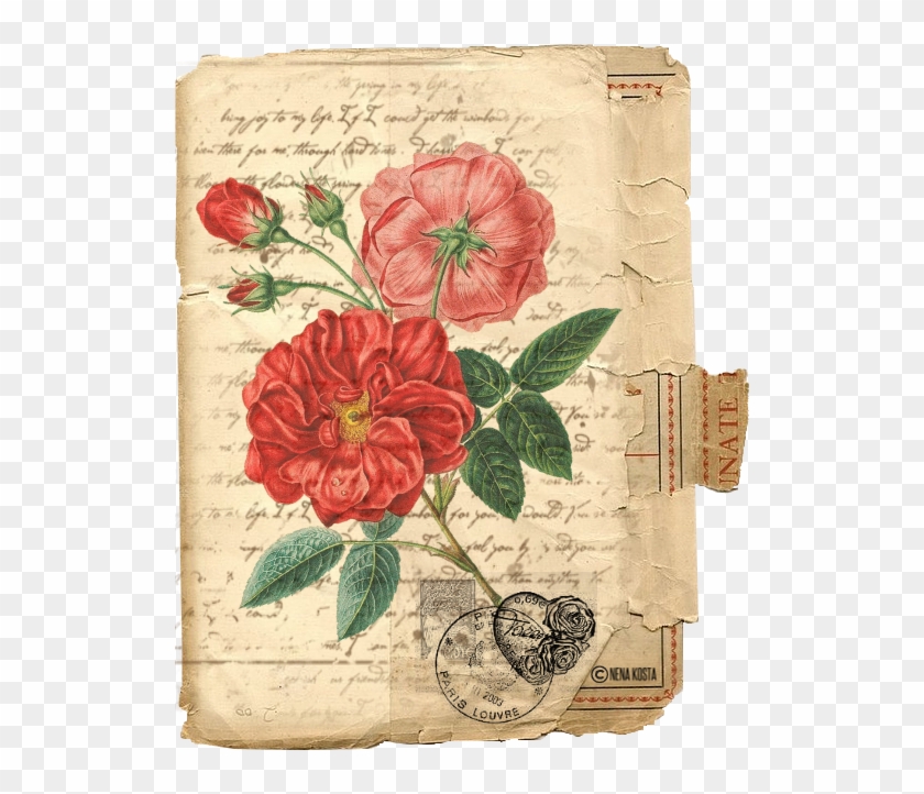 Espero Que, Ya Que Parece Que Quiere Se Adelantarse, - Vintage Red Rose Illustration Clipart #3818907