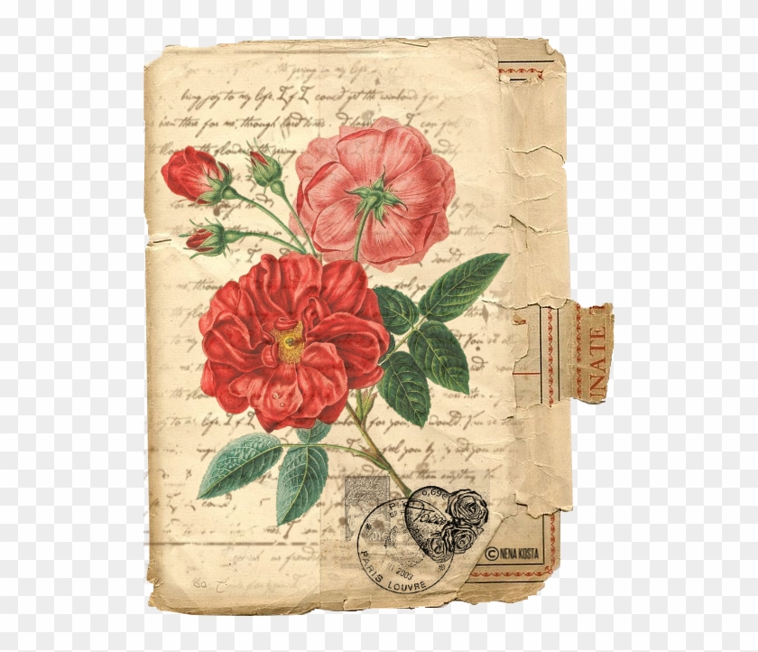 Espero Que, Ya Que Parece Que Quiere Se Adelantarse, - Vintage Red Rose Illustration Clipart