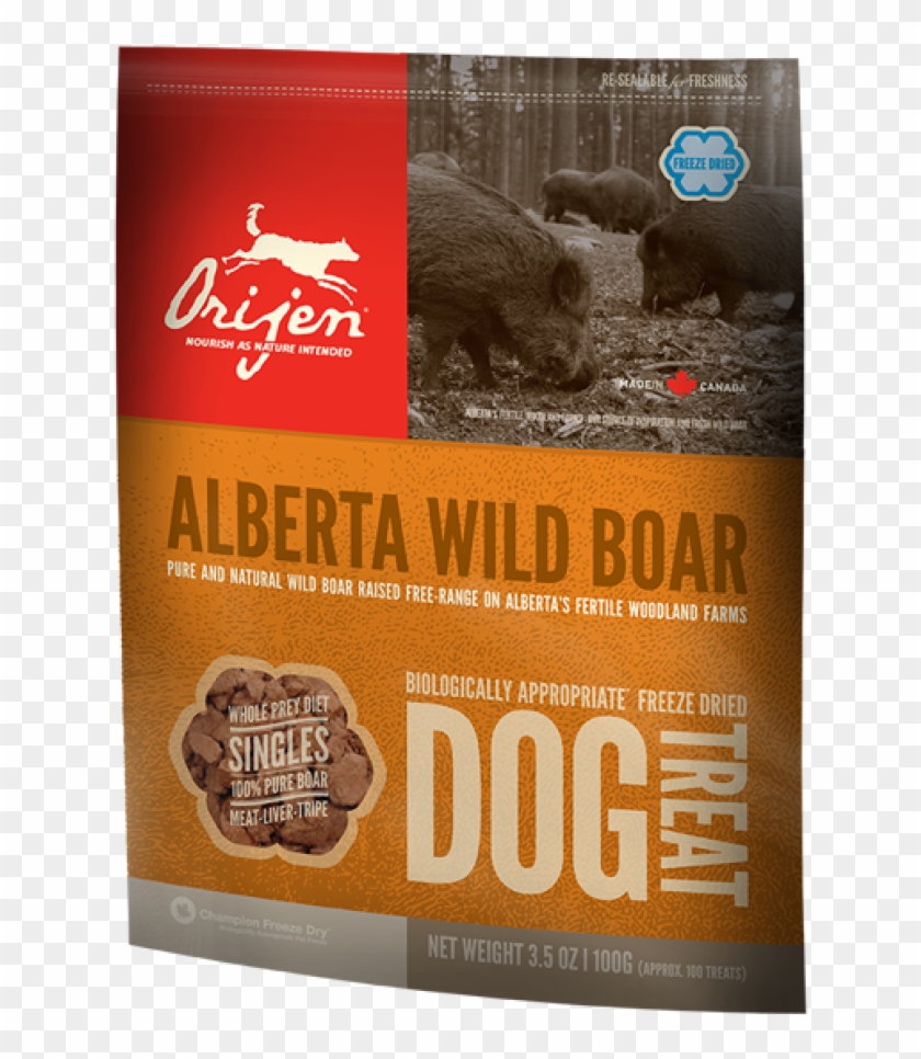 More Views - Kangaroo Clipart