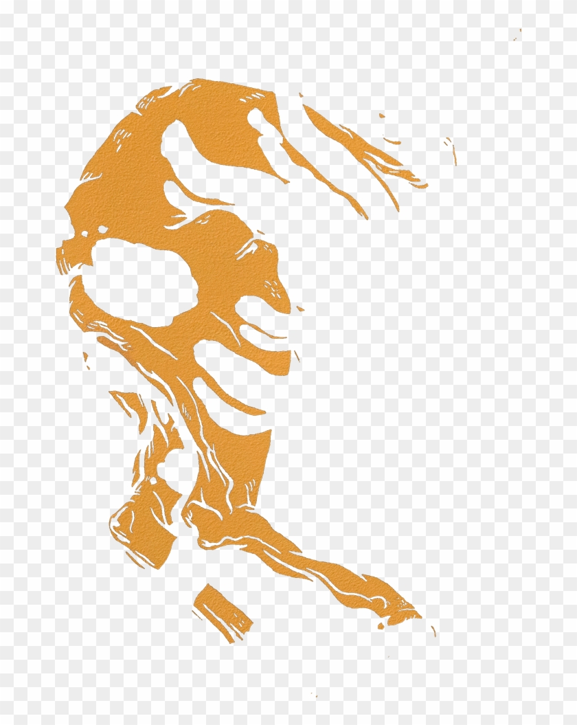 Illustration Clipart