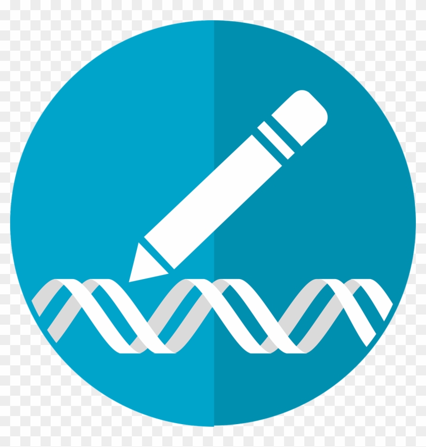 Gene Editing Icon 2375787 1280 - Modify Icon Clipart #3820113
