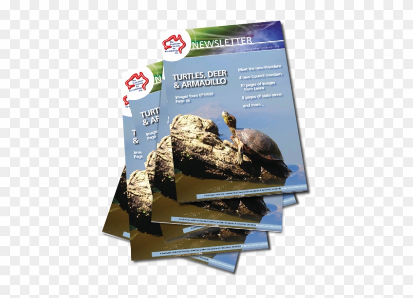 September - Tortoise Clipart #3821109