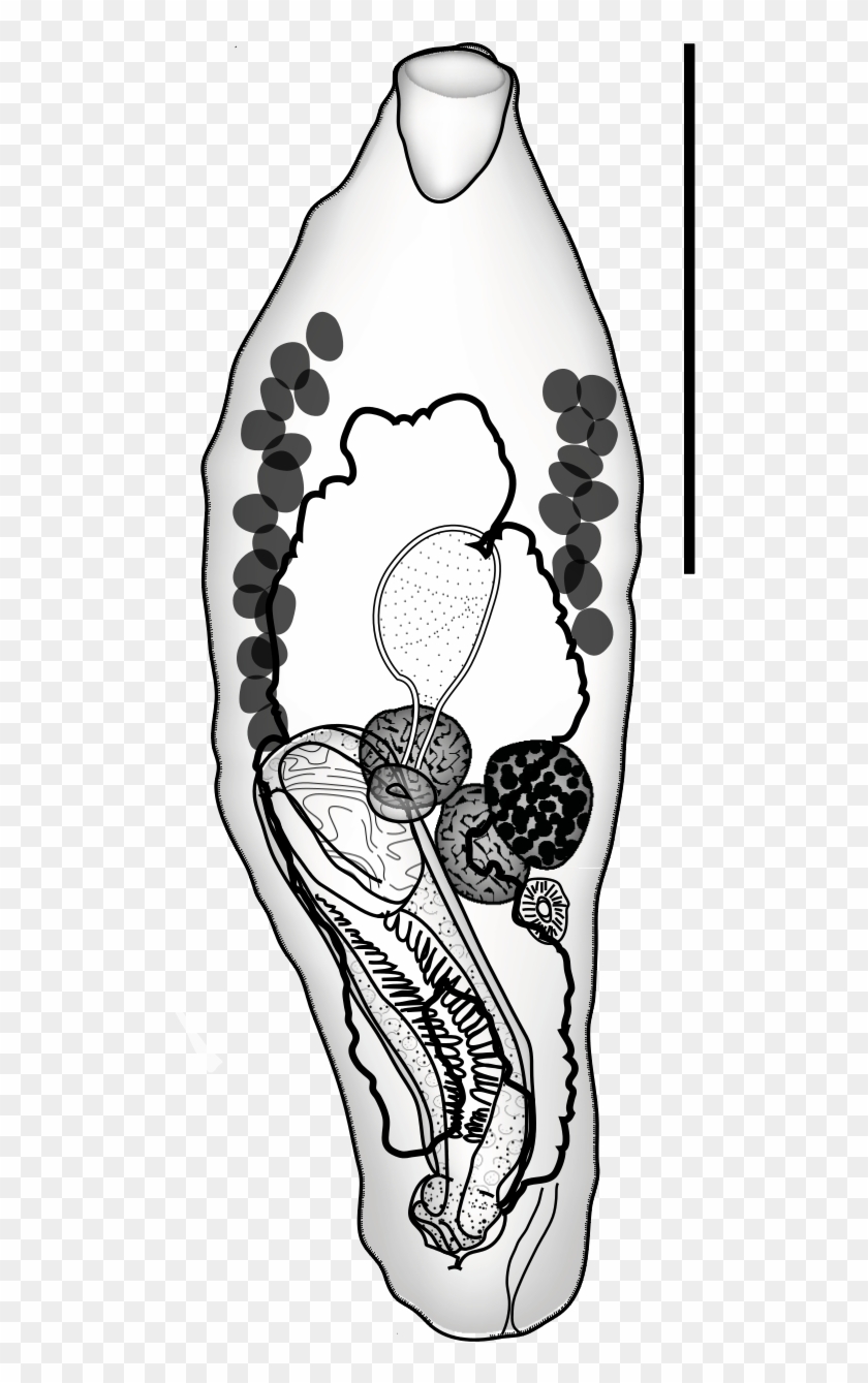 Open - Sketch Clipart #3821139