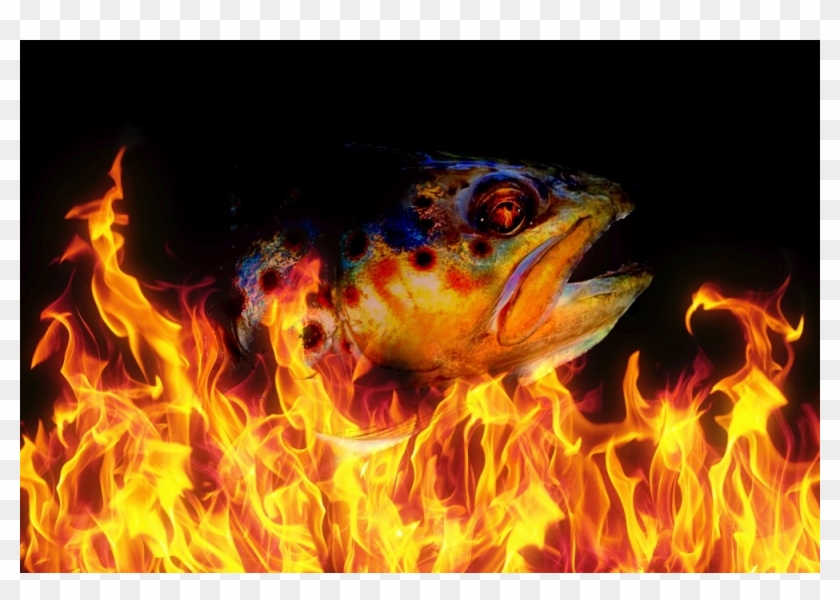 Fire Generic Clipart #3821246