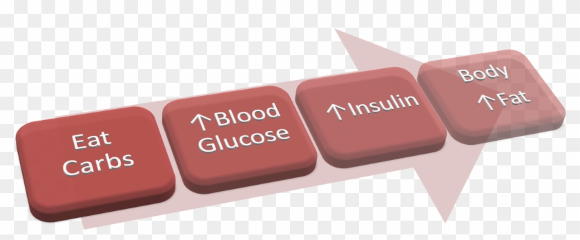 Guyton Says “the Foods On Which The Body Lives Can - Graphic Design Clipart #3821396