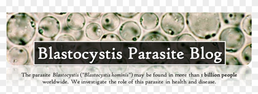 Billede31 - Blastocystis Parasite Clipart